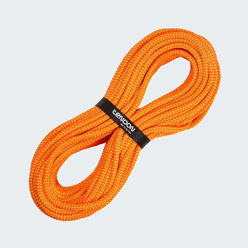 Bright Orange