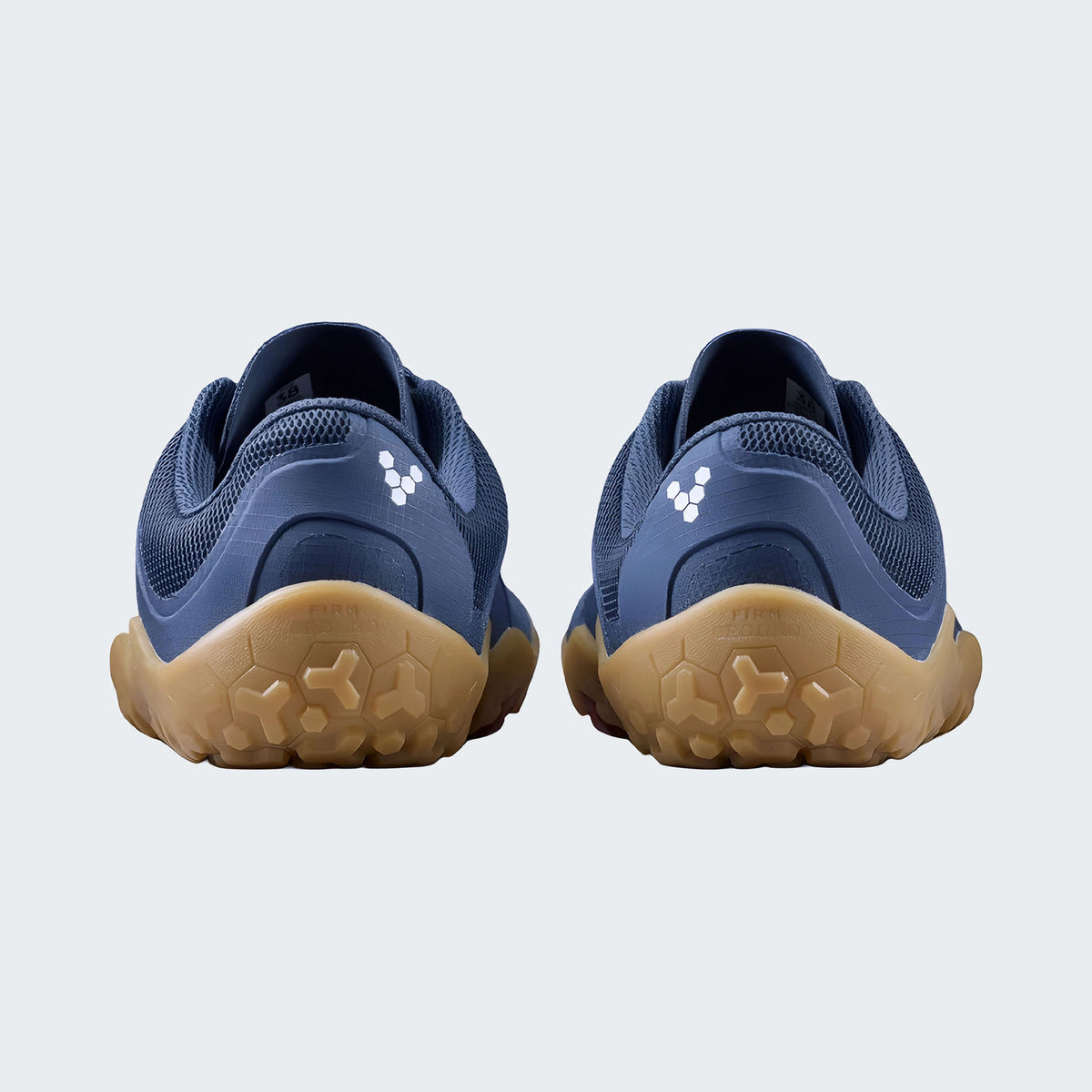 Insignia Blue