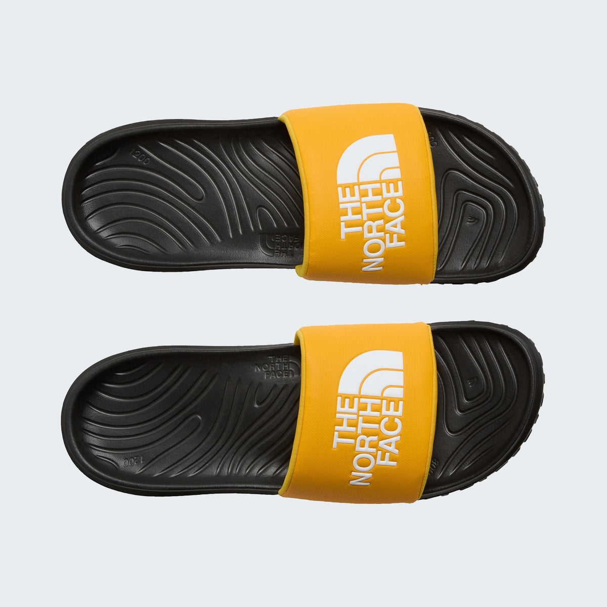 Summit Gold/TNF Black