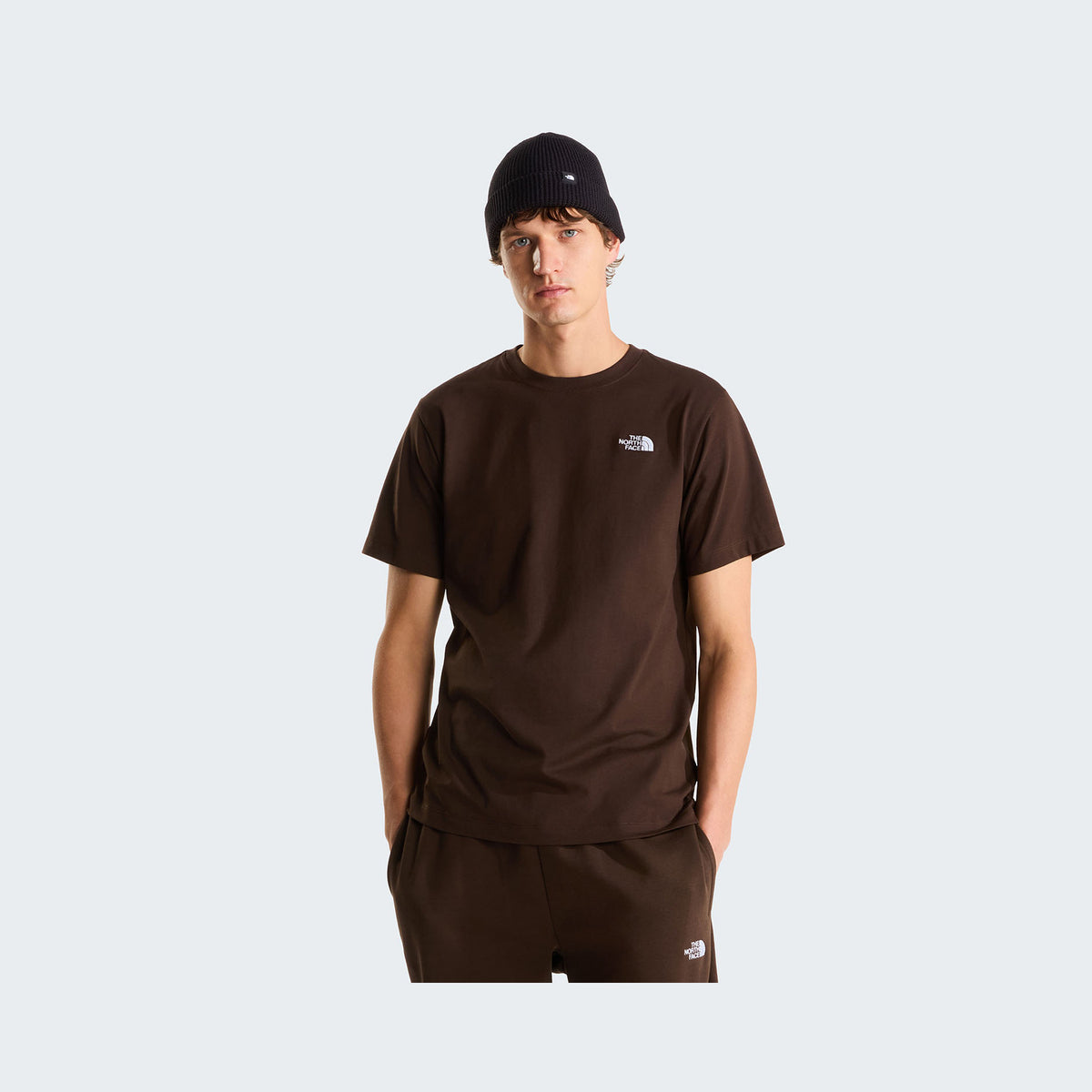 Dark Chestnut