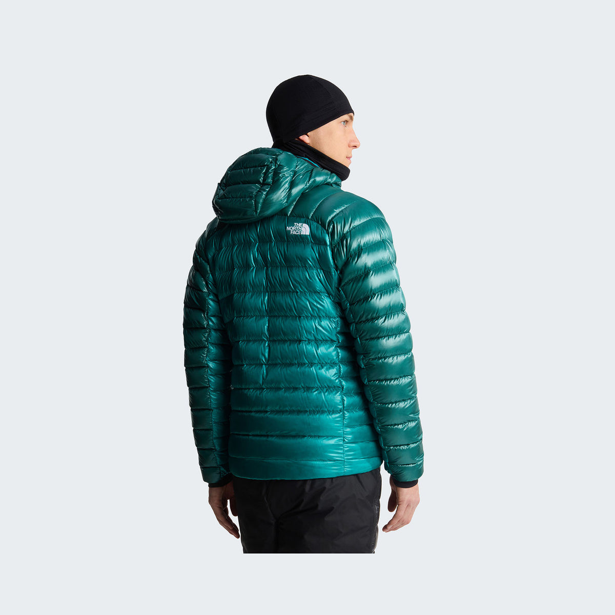 Restorative Teal/Pacific Teal