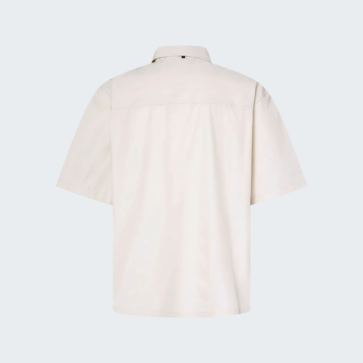 Mist