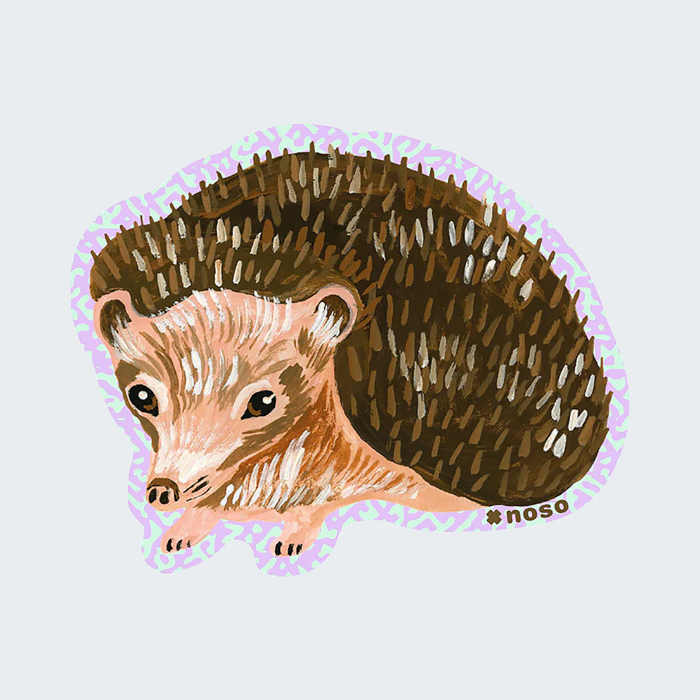 Brown Hedgehog