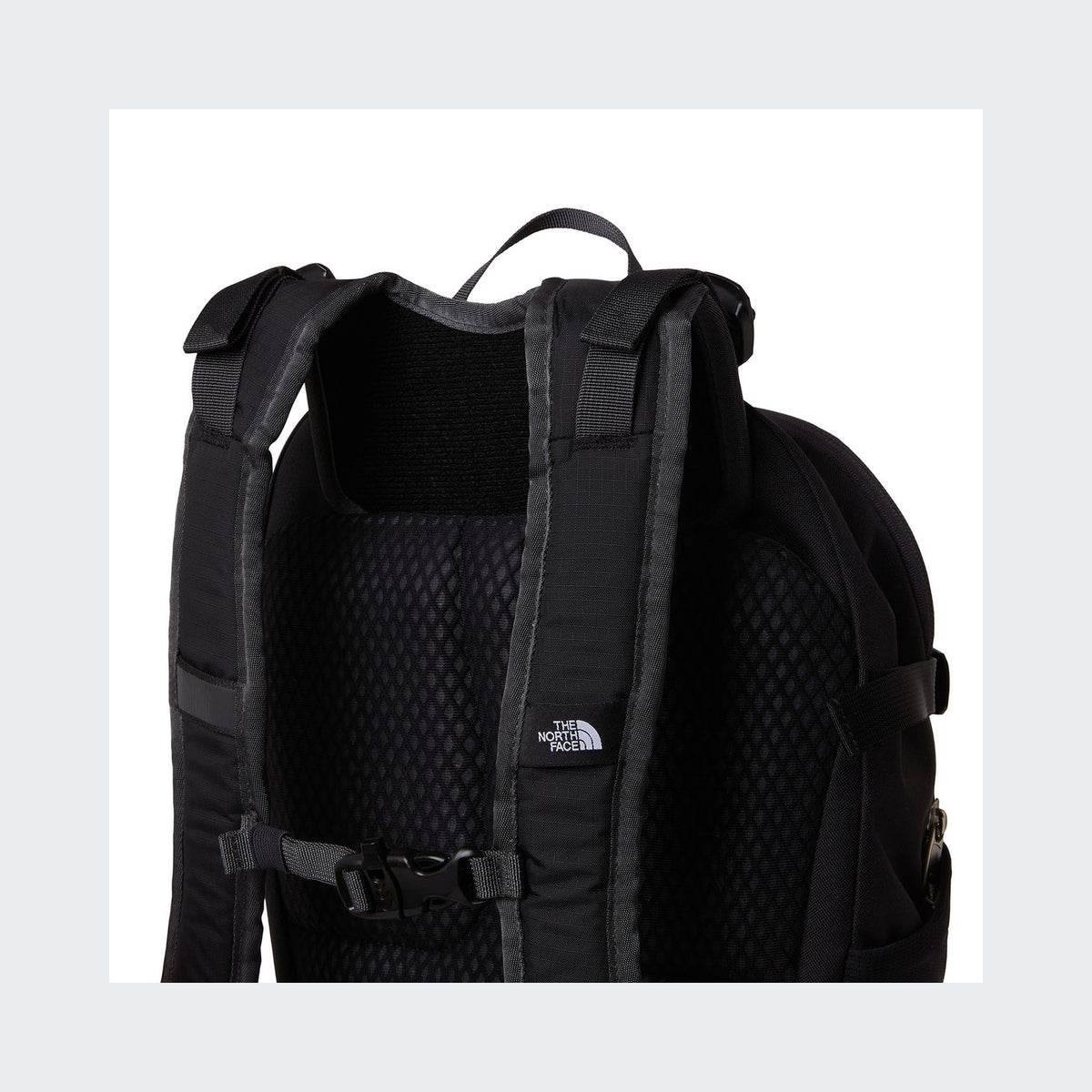 TNF Black/Asphalt Grey/NPF