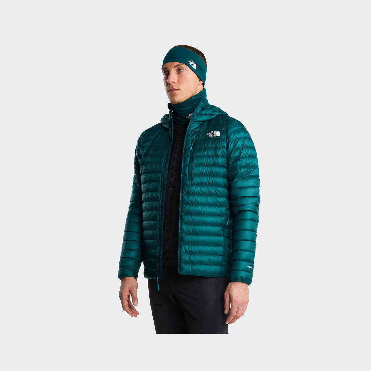 Pacific Teal/Restorative Teal