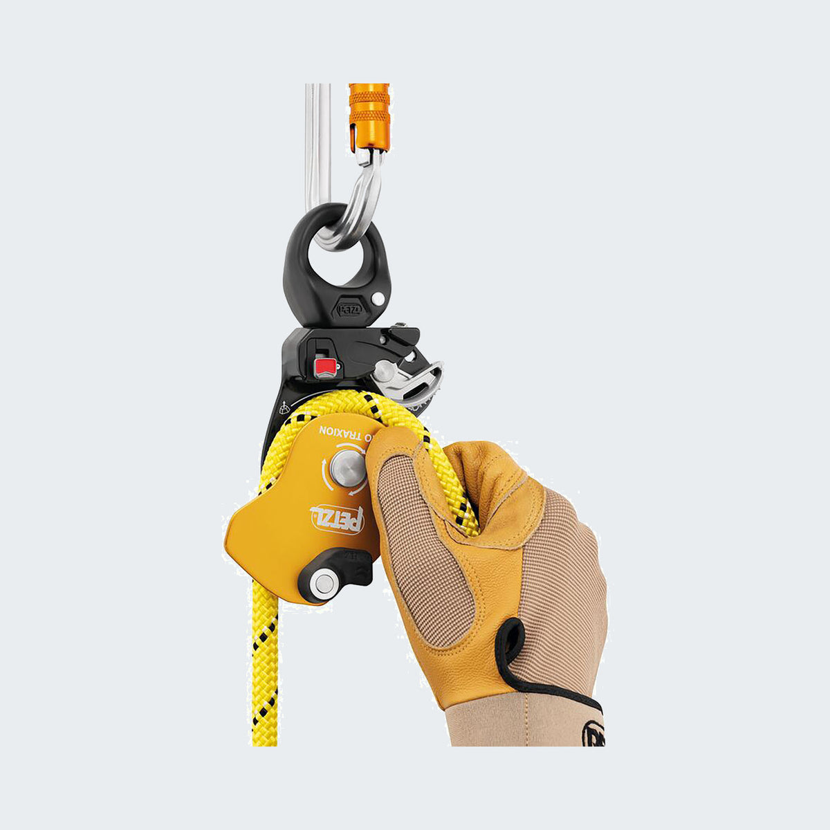 Yellow/Black