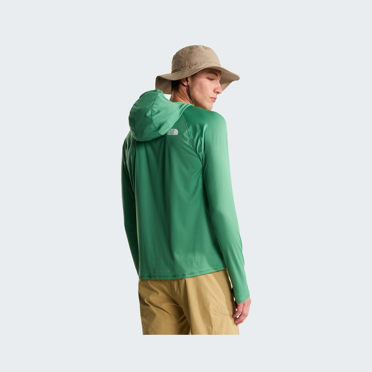 Dimmed Algae