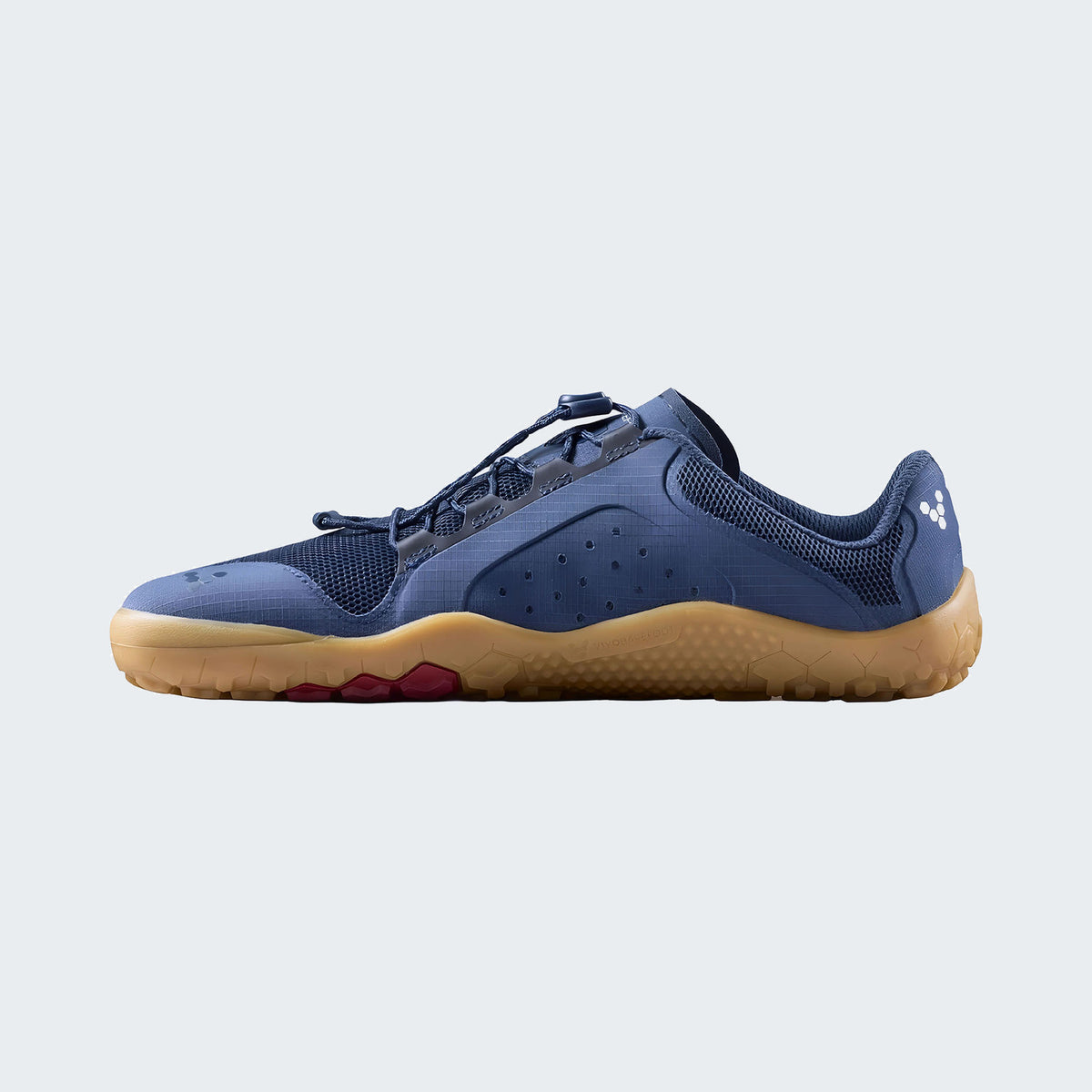 Insignia Blue