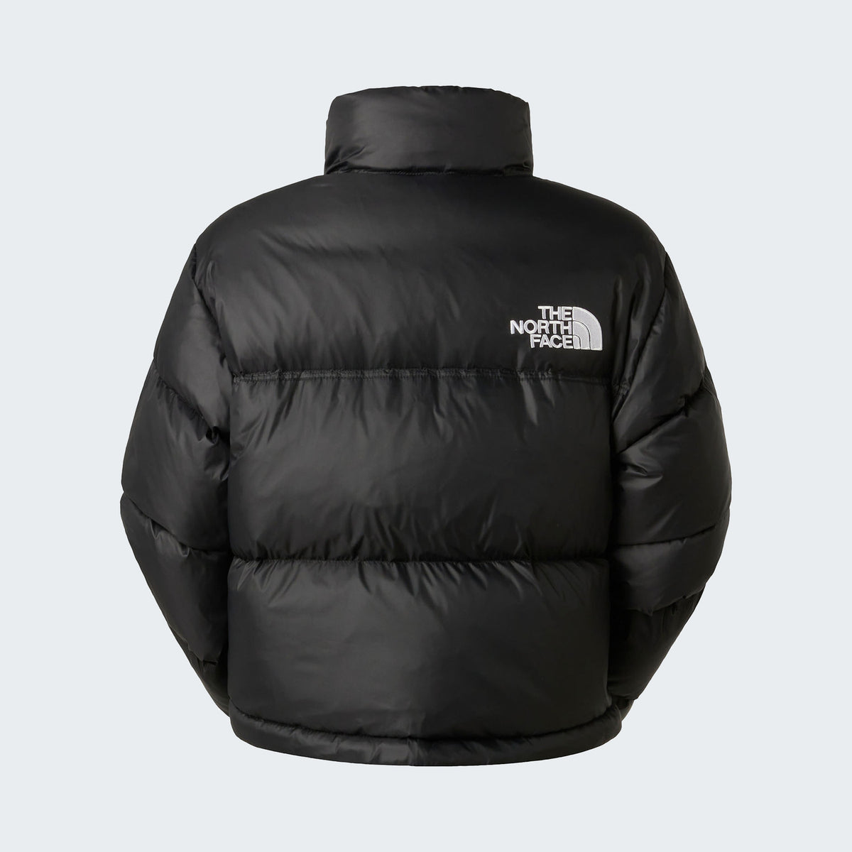 TNF Black/TNF Black/Recycled Down
