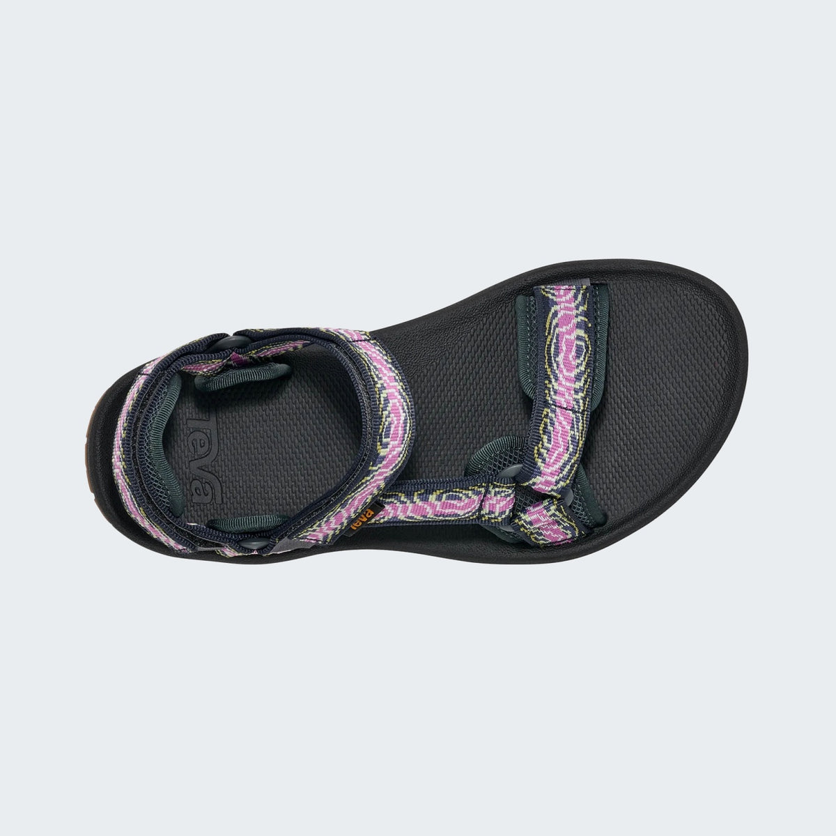 Archive Topo Striking Purple