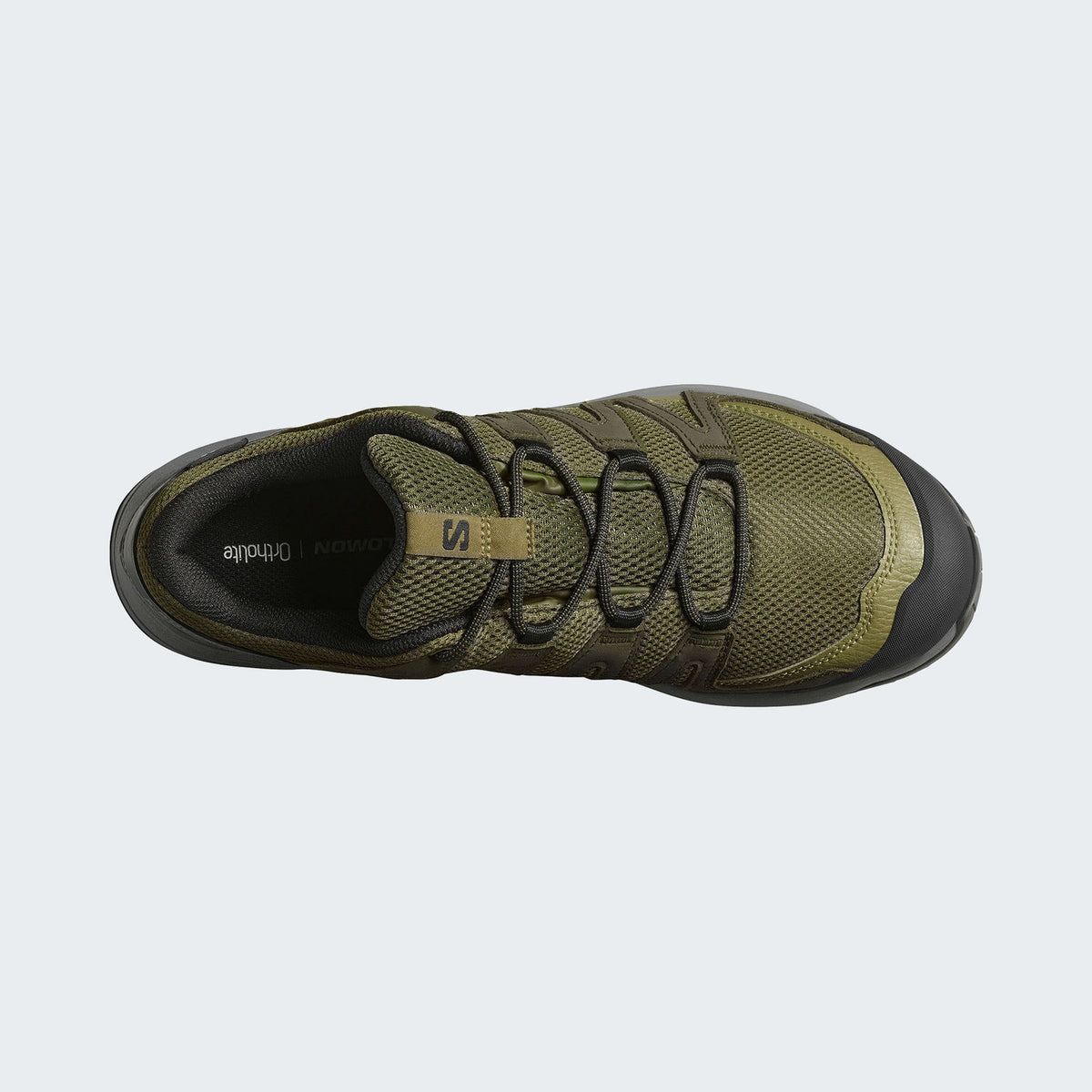 Olive Night/Martini Olive/Pewter