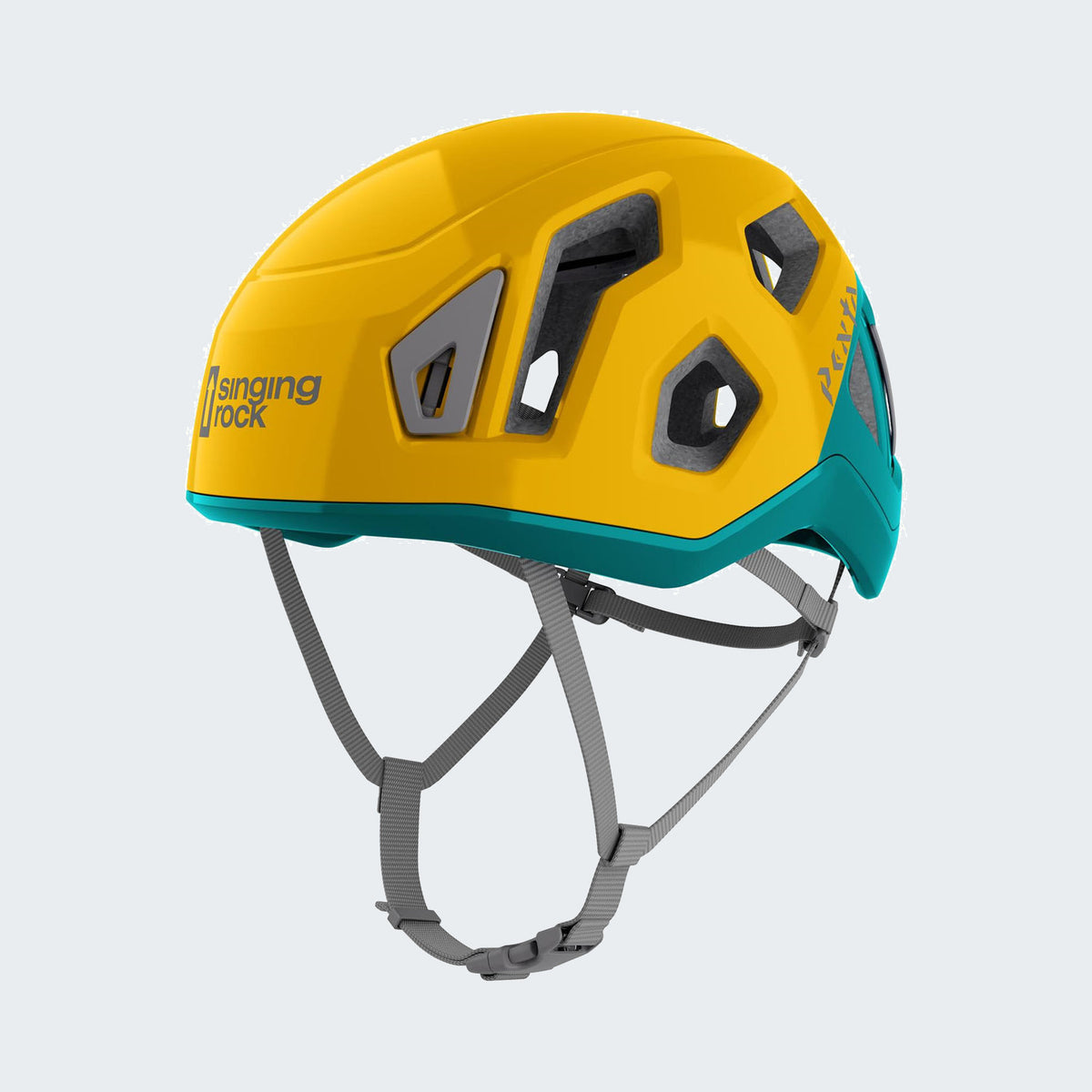 Arnica yellow / Dark teal