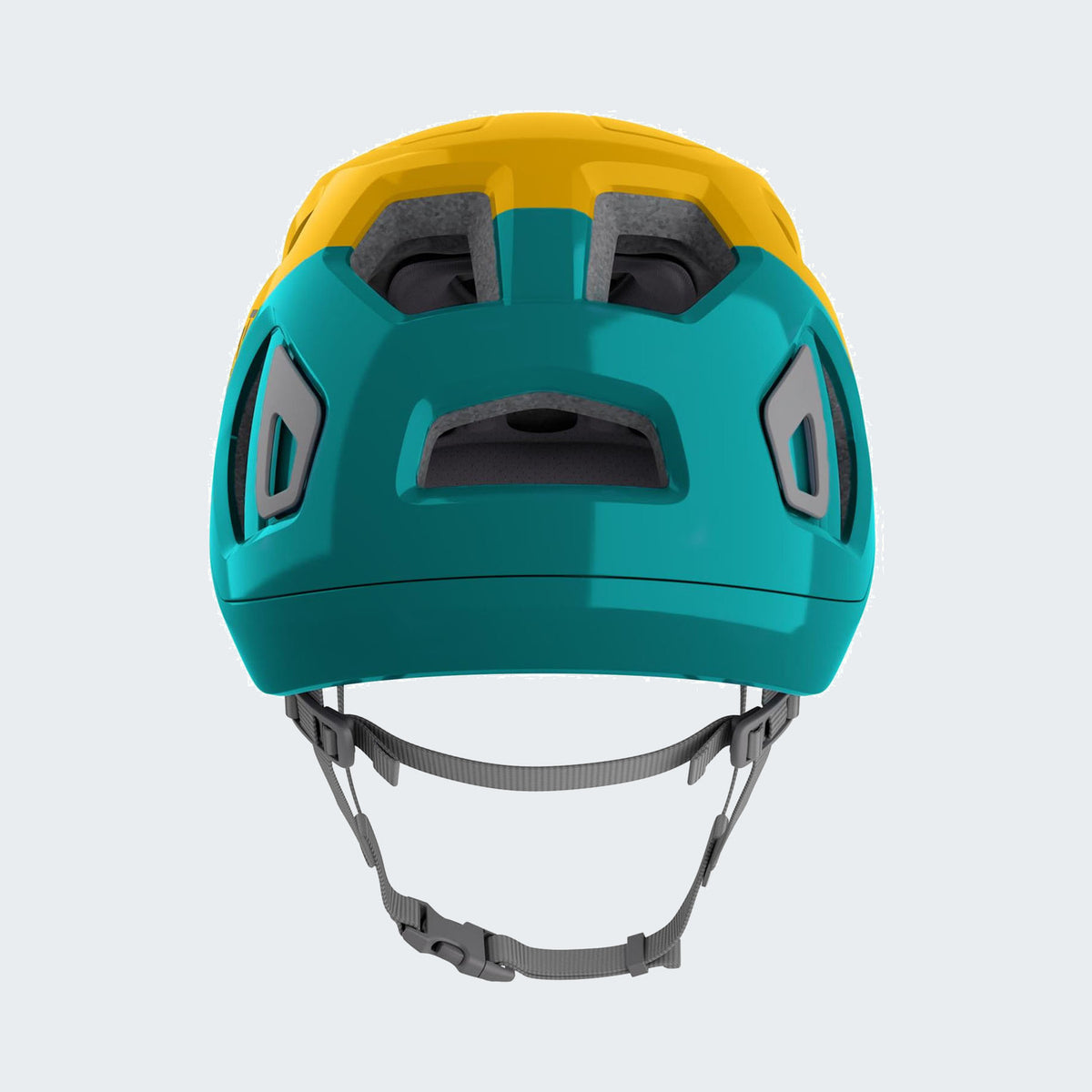 Arnica yellow / Dark teal
