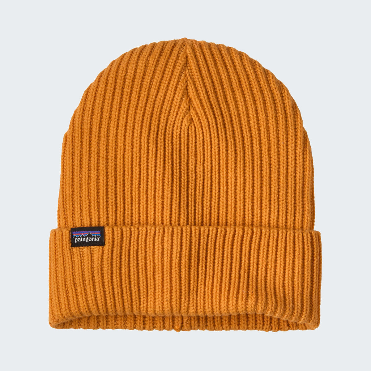 Autumn Orange