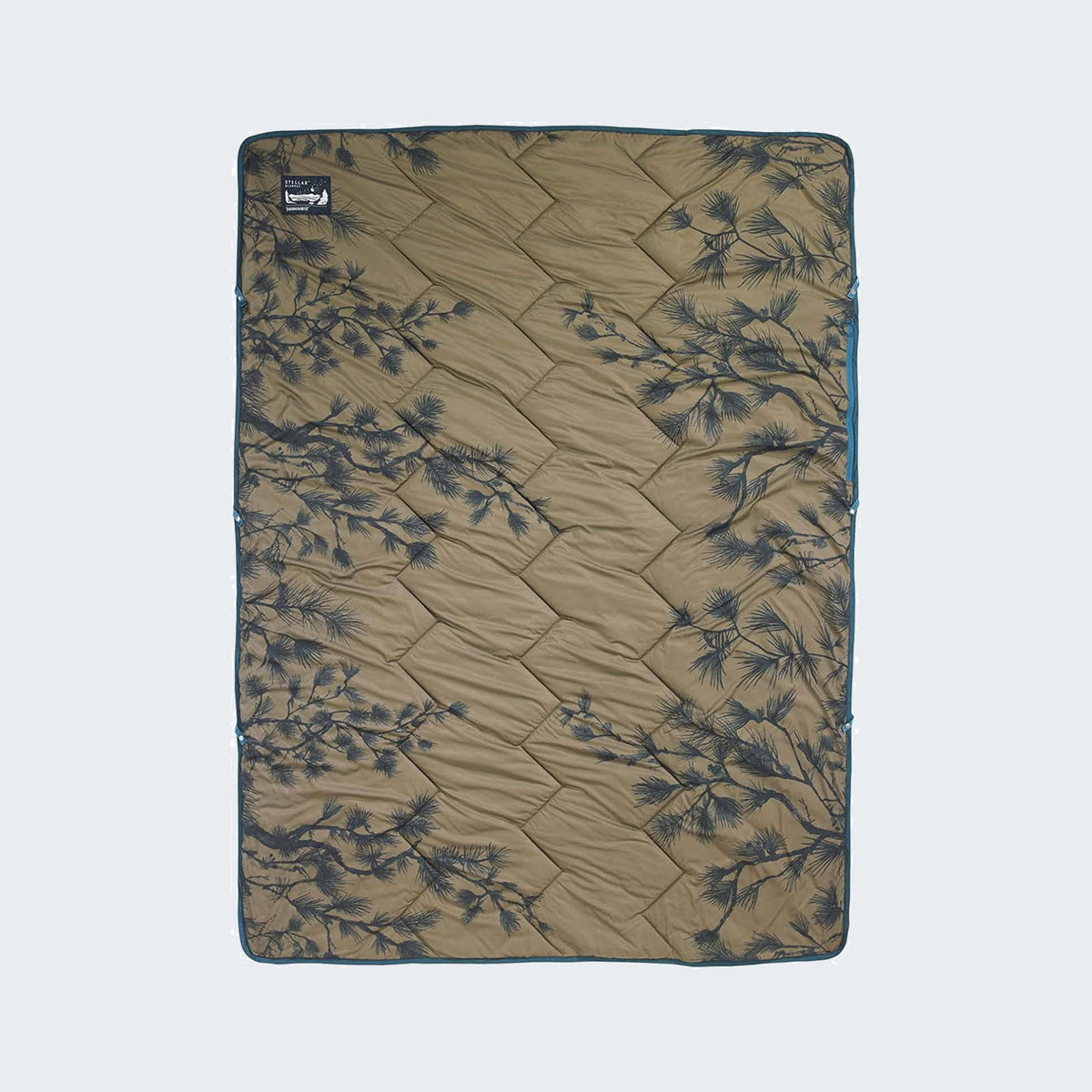 Peeking Pine Print