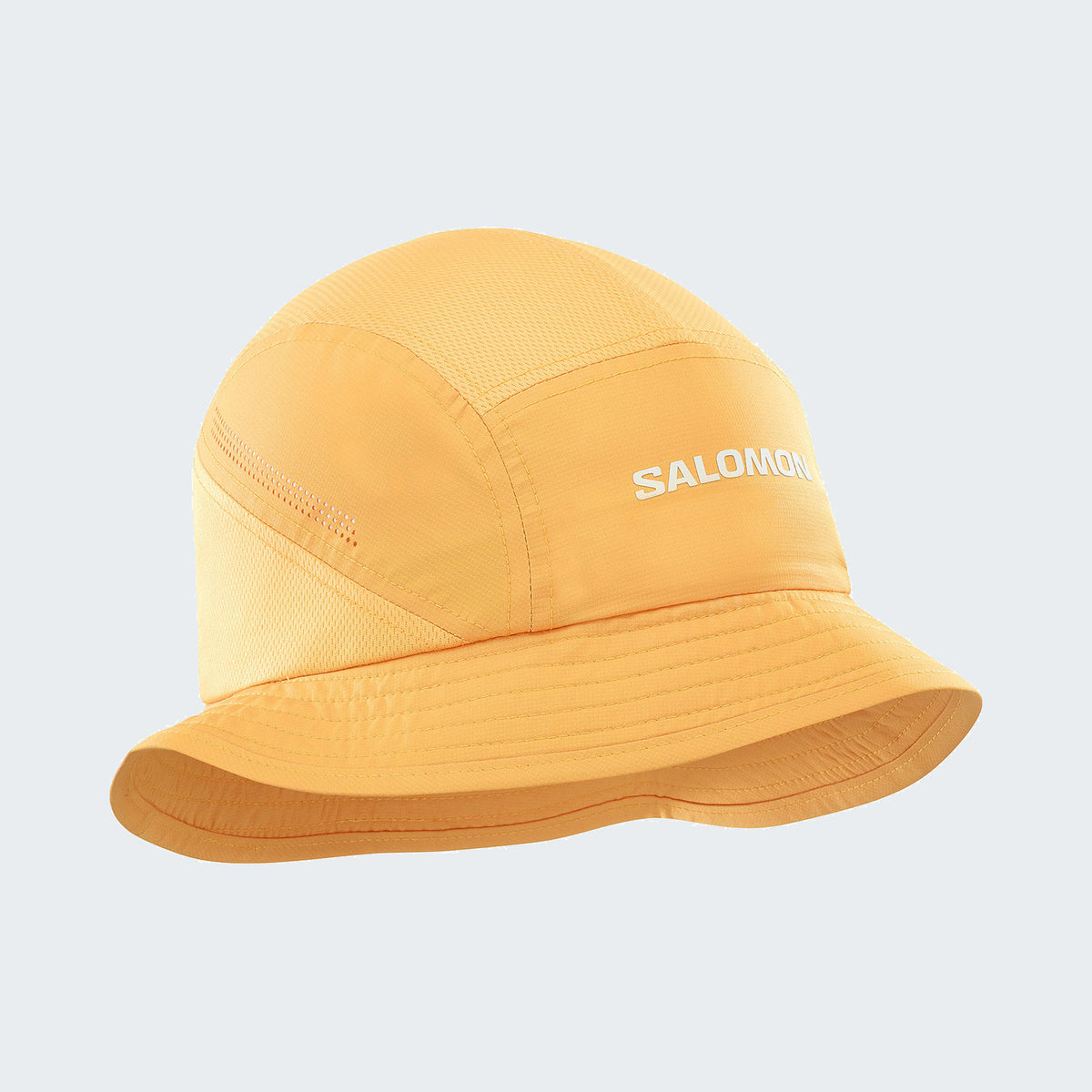 Warm Apricot