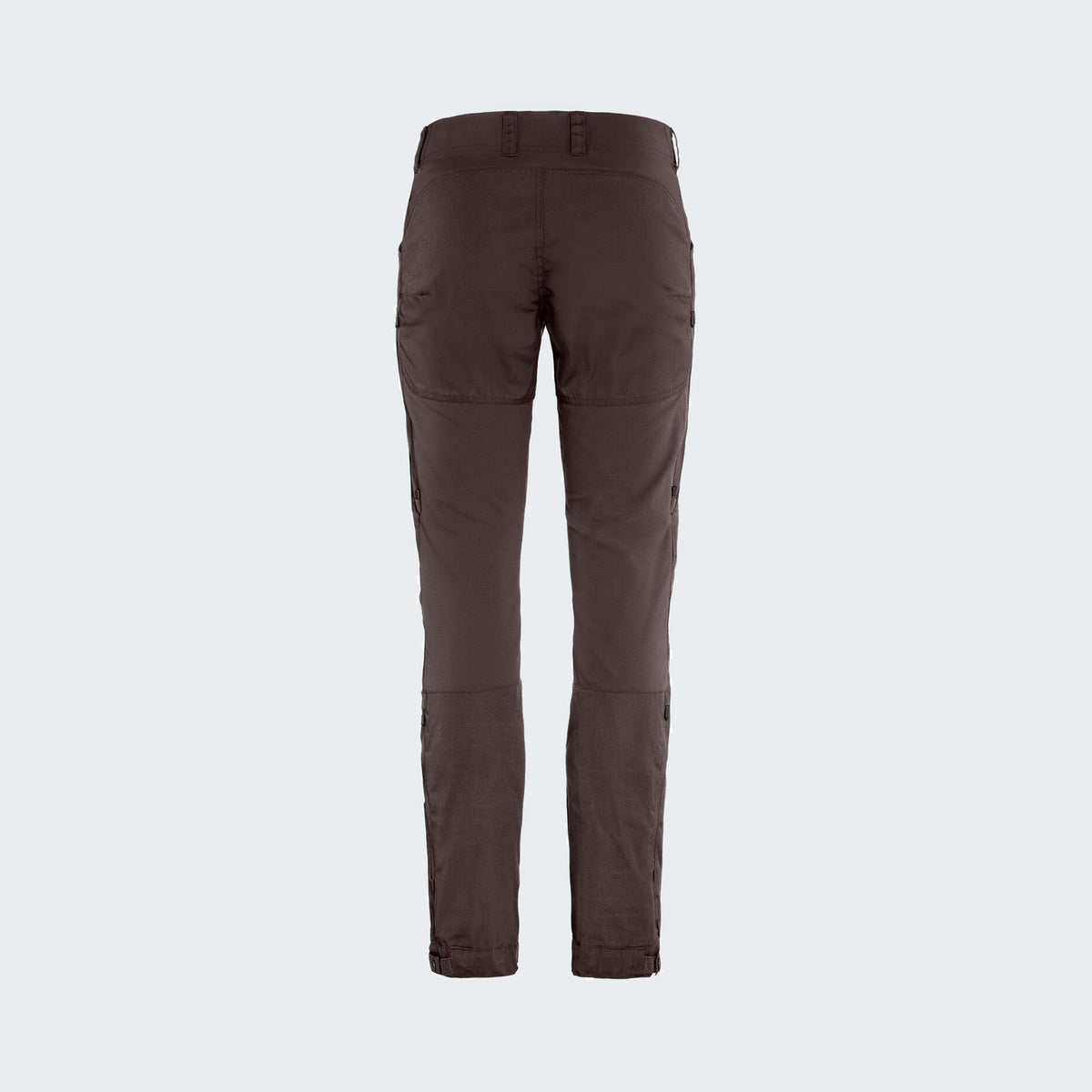 294 - Black Oak